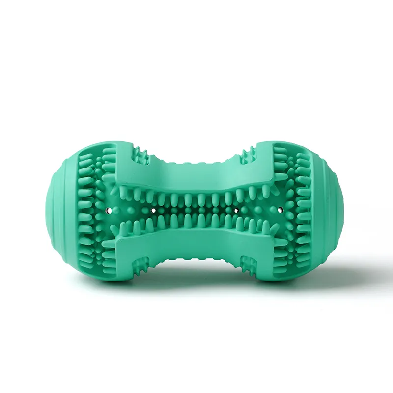 Jouet de nettoyage des dents de chien