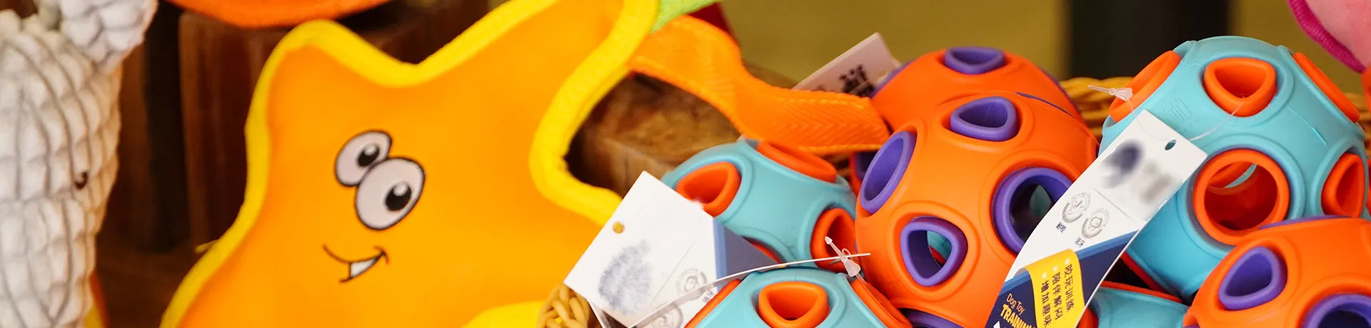  mâcher des jouets 